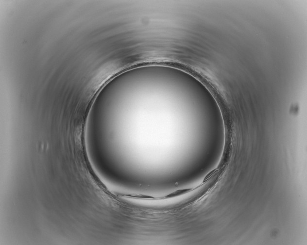 X0000094201273200711021043