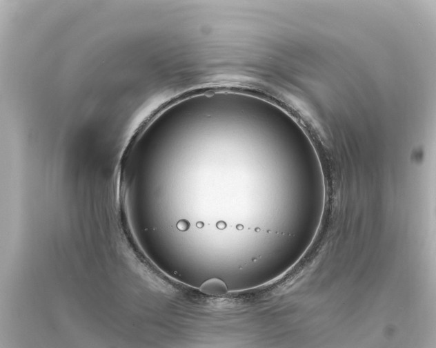 X0000094201275200711021043
