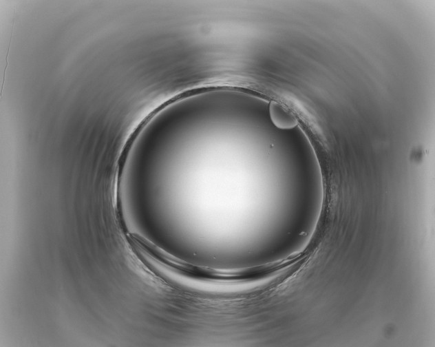 X0000094201276200711021043