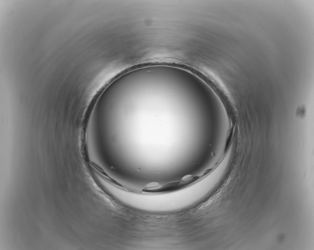X0000094201277200711021043