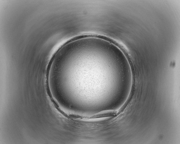 X0000094201279200711021043