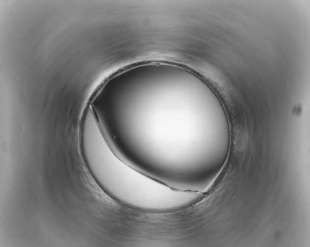 X0000094201280200711021043