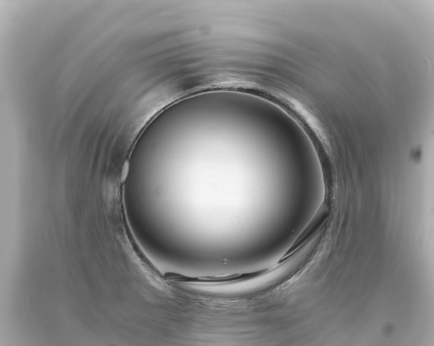 X0000094201281200711021043