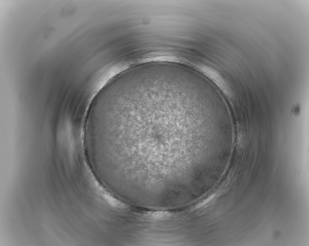 X0000094201282200711021043