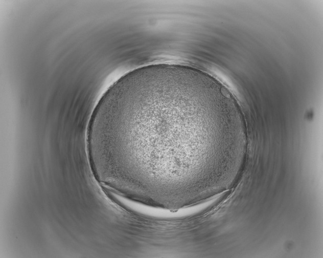 X0000094201283200711021043