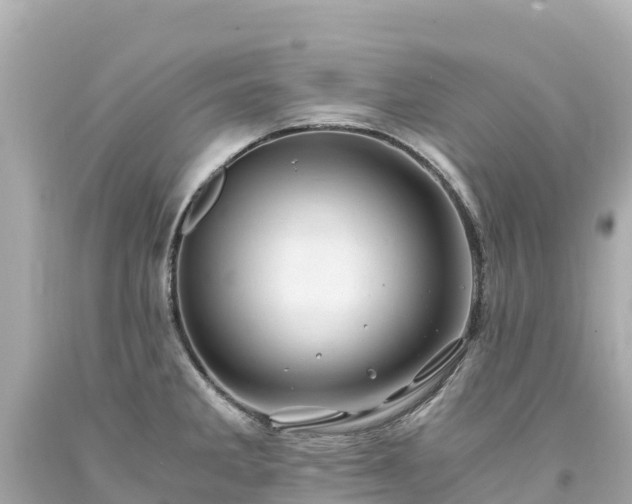 X0000094201285200711021043