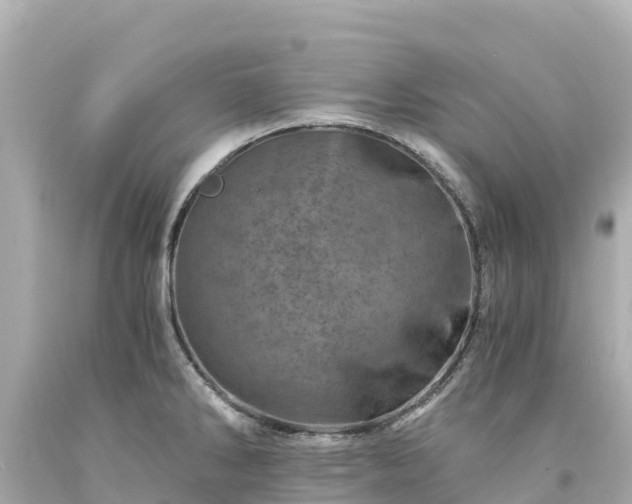 X0000094201286200711021043