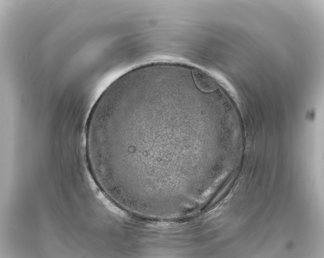 X0000094201287200711021043