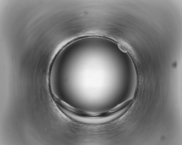 X0000094201288200711021043