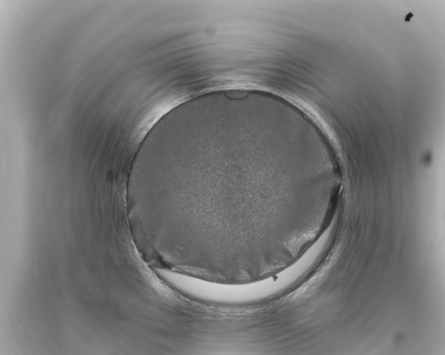 X0000094201289200711021043