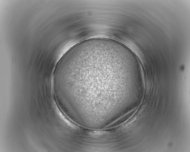 X0000094201290200711021043