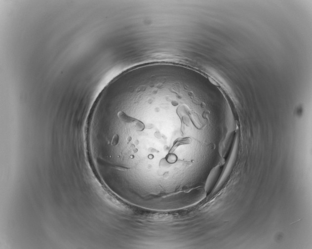 X0000094201291200711021043