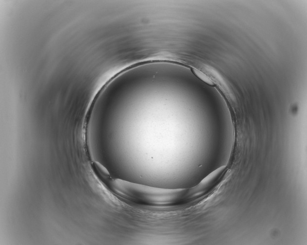X0000094201292200711021043