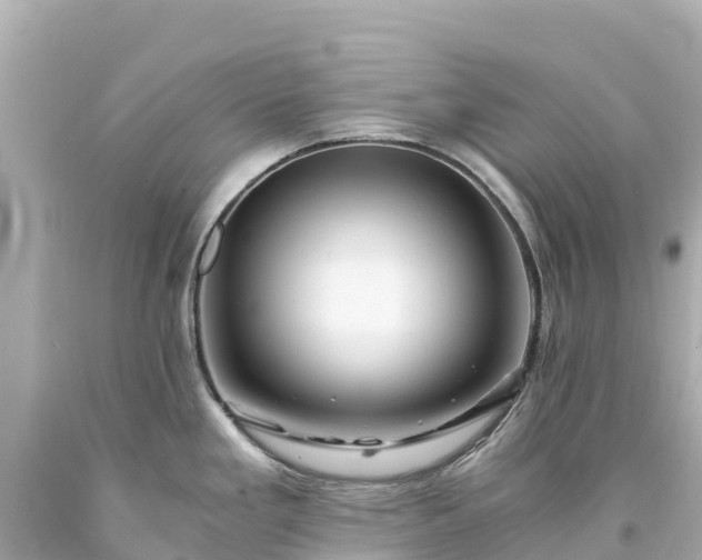 X0000094201293200711021042