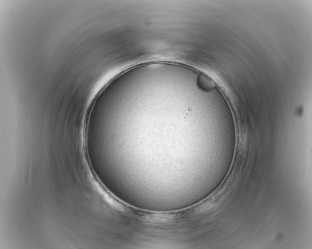 X0000094201294200711021042