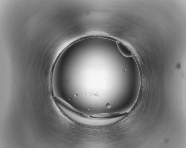 X0000094201295200711021042