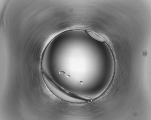 X0000094201296200711021042