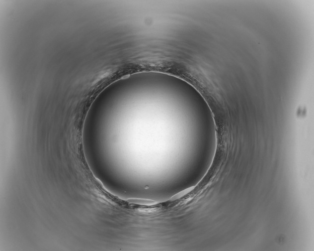 X0000094201297200711021042