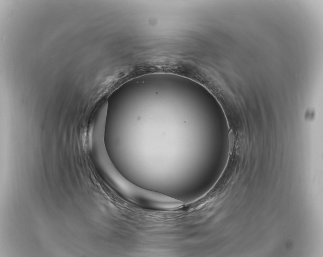 X0000094201298200711021042