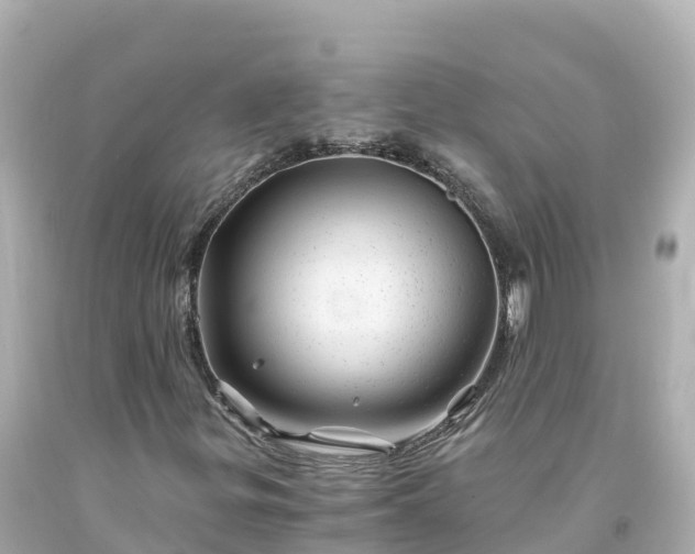 X0000094201299200711021042