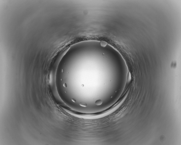 X0000094201300200711021042
