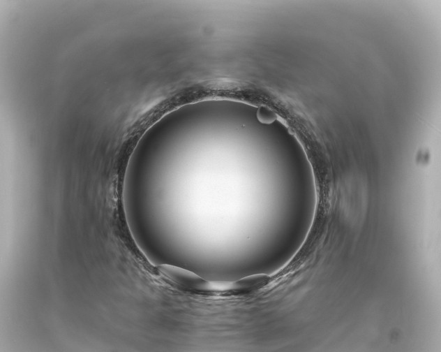 X0000094201301200711021042