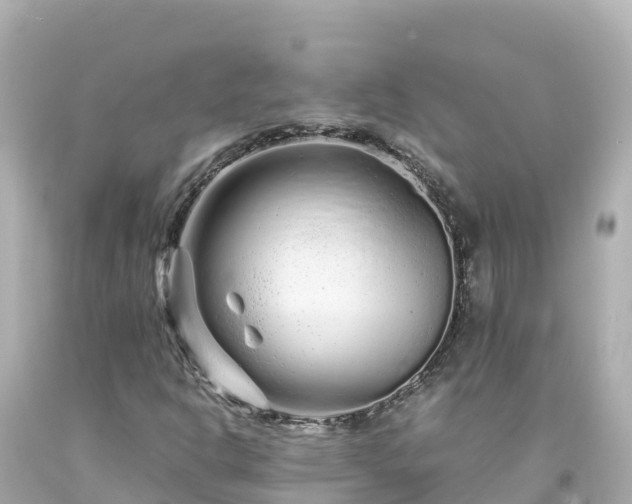 X0000094201302200711021042