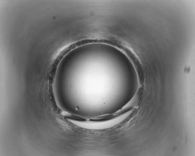 X0000094201304200711021042