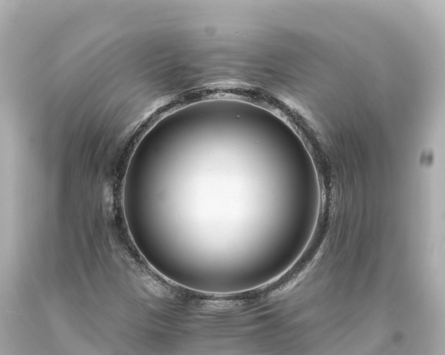X0000094201305200711021042