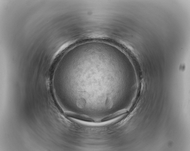X0000094201306200711021042