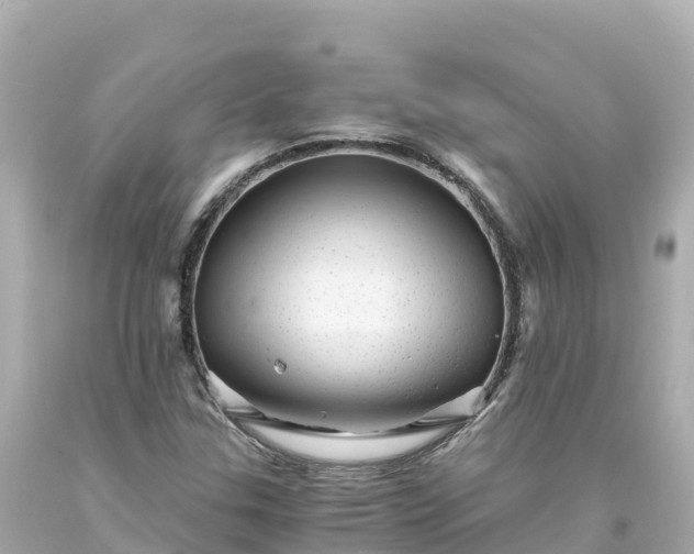 X0000094201307200711021042