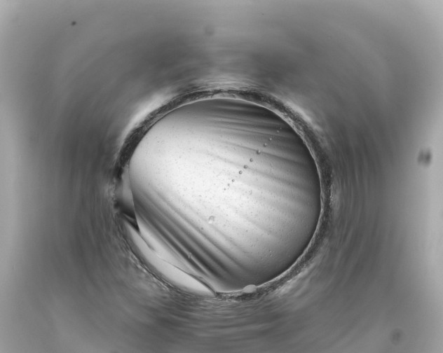 X0000094201309200711021042