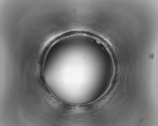 X0000094201311200711021042