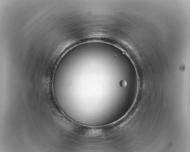 X0000094201313200711021042