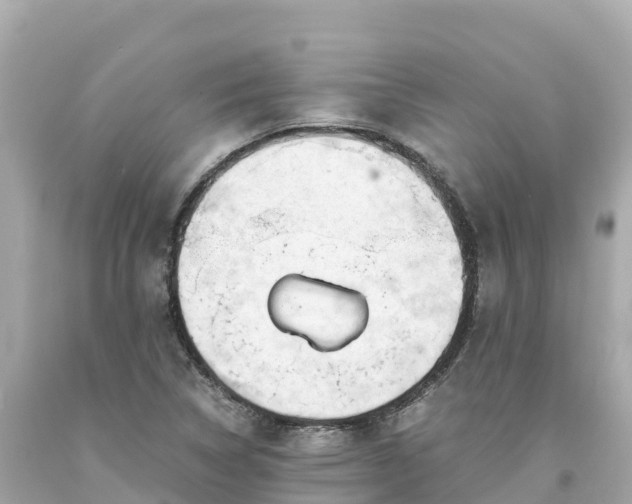 X0000094201314200711021042