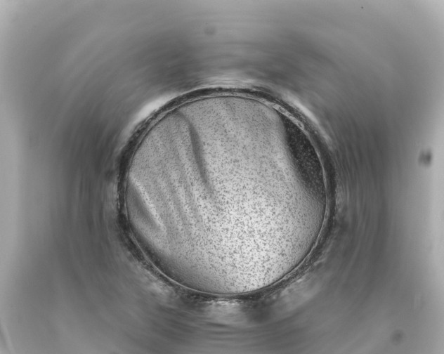 X0000094201315200711021042