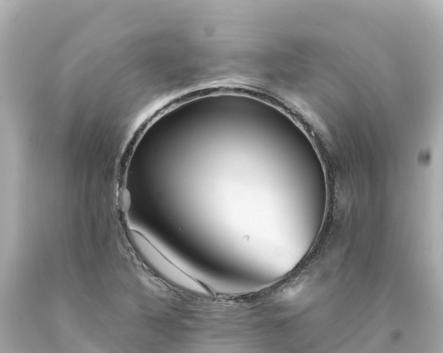 X0000094201316200711021042