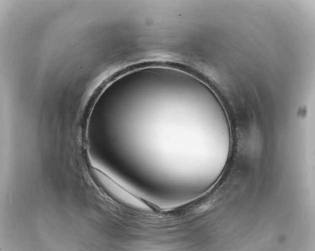 X0000094201318200711021042