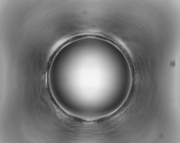 X0000094201320200711021042