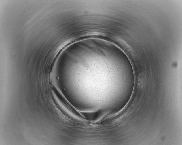 X0000094201321200711021042