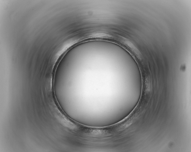 X0000094201322200711021042
