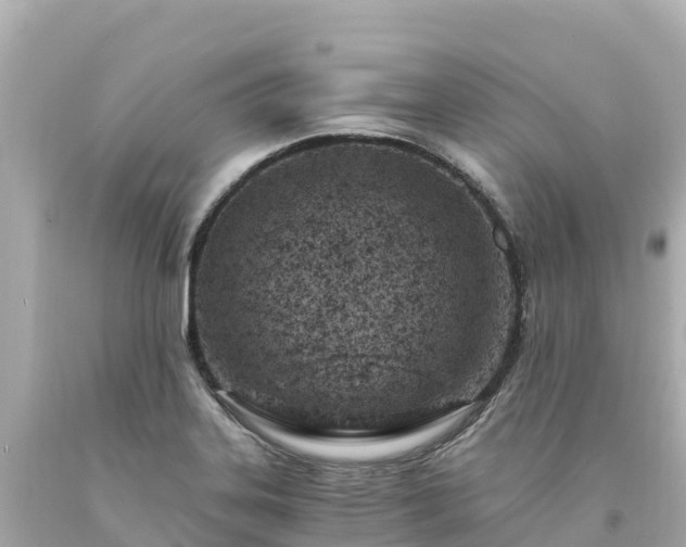X0000094201323200711021042
