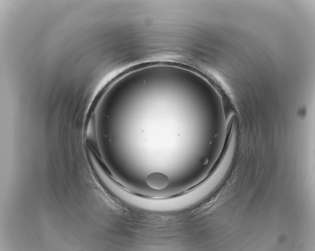 X0000094201324200711021042
