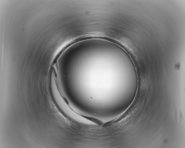 X0000094201325200711021042