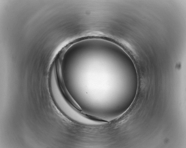 X0000094201326200711021042