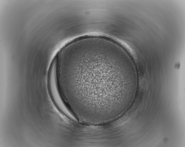 X0000094201327200711021042