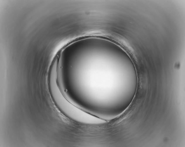 X0000094201328200711021042