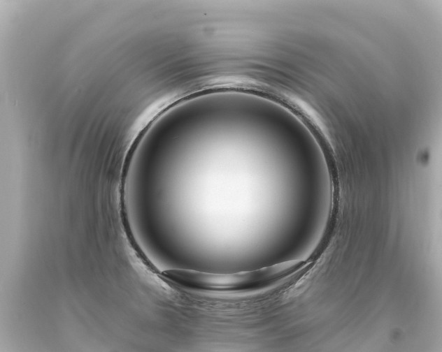 X0000094201330200711021042