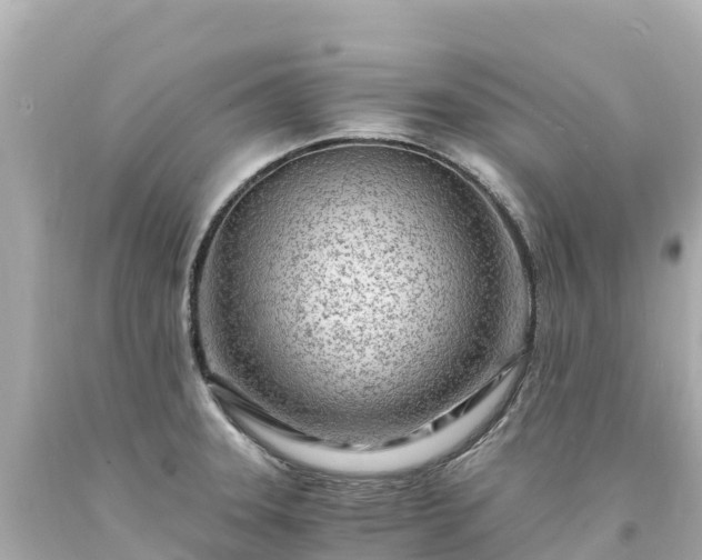 X0000094201331200711021042