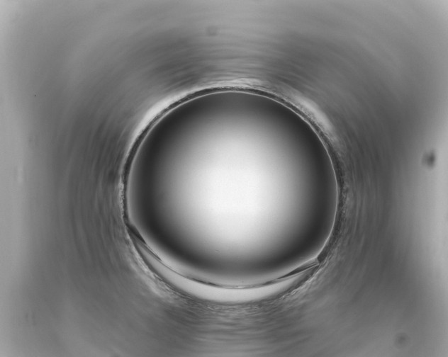 X0000094201332200711021042